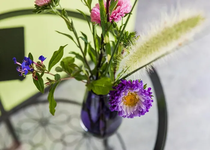 Oda ve Kahvaltı Dinter