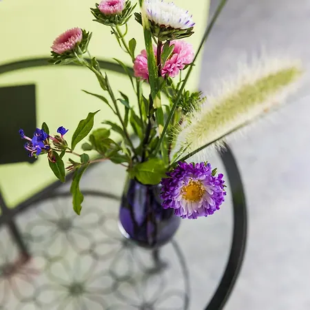 Frühstückspension Dinter